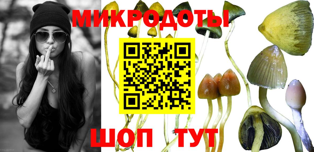 Псилоцибиновые грибы прущие грибы Крымск
