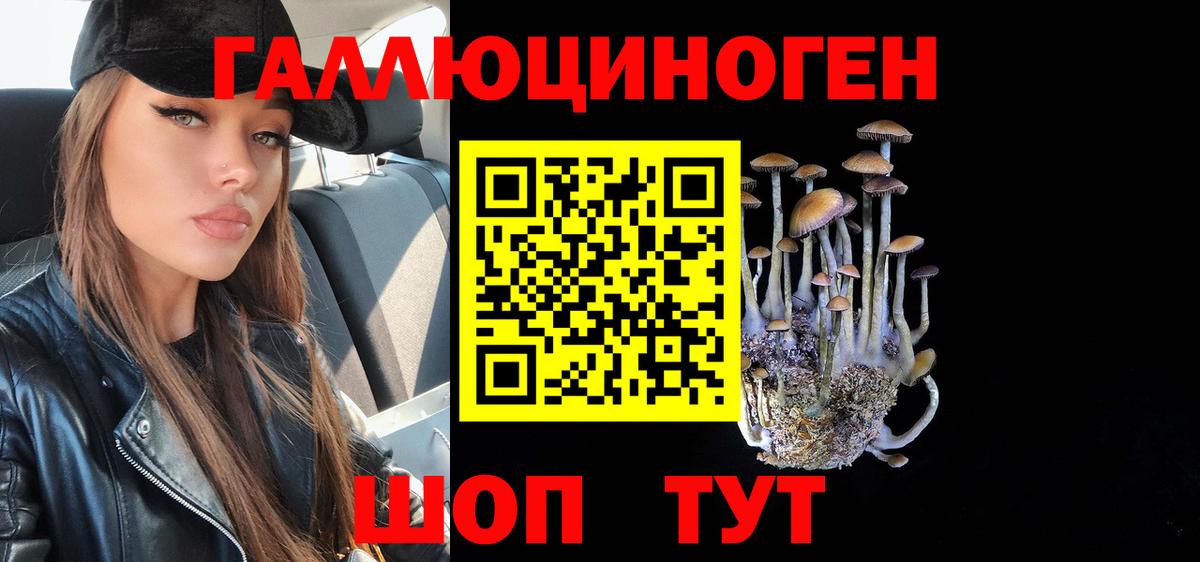 Крымск  купить наркотики цена  Вход с VPN  Галлюциногенные грибы GOLDEN TEACHER 
